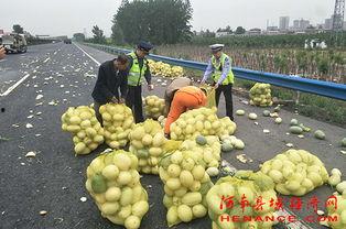 庵埠微信吃瓜群众,吃瓜群众揭秘当地新鲜事