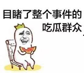 512瓜吃群众,揭秘网络舆论背后的真相与反思