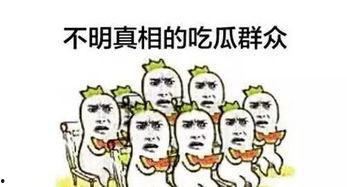 四川吃瓜群众排名,揭秘麻辣之地“瓜界”风云