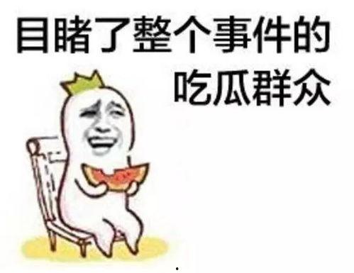 烟火吃瓜群众,揭秘烟花背后的故事