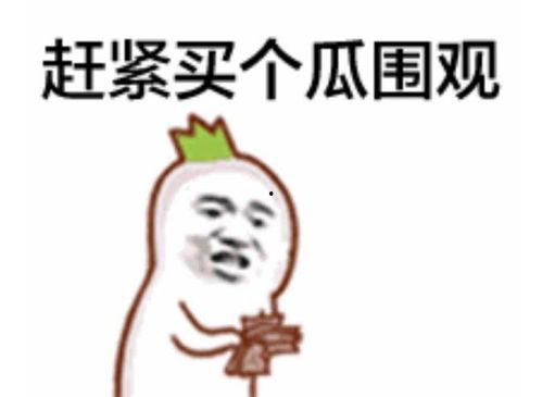 太现实了吃瓜群众怎么办,吃瓜群众的生存指南
