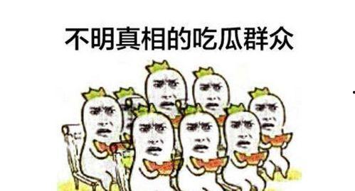 吃瓜群众微信聊天图片,一场关于八卦与娱乐的狂欢