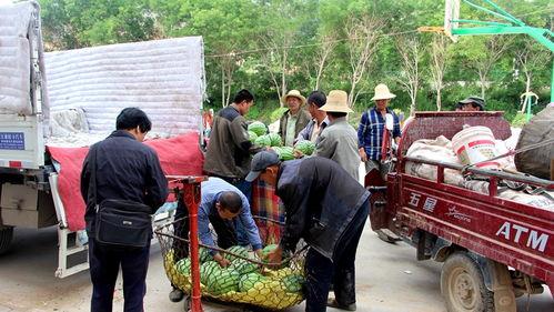 吃瓜群众岱岱博客,趣味生活，独特视角