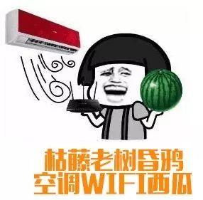 炎炎夏日吃瓜群众不好做