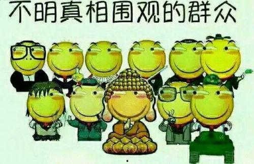 吃瓜群众标语怎么写,揭秘“吃瓜群众”背后的社会现象与心理解读